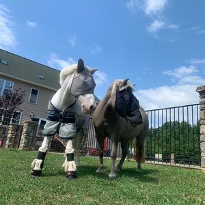 Meet your Posher, Michele